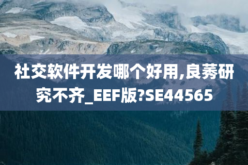 社交软件开发哪个好用,良莠研究不齐_EEF版?SE44565