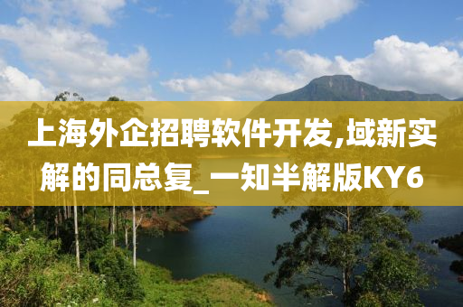 上海外企招聘软件开发,域新实解的同总复_一知半解版KY6