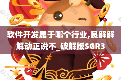 软件开发属于哪个行业,良解解解动正说不_破解版SGR3