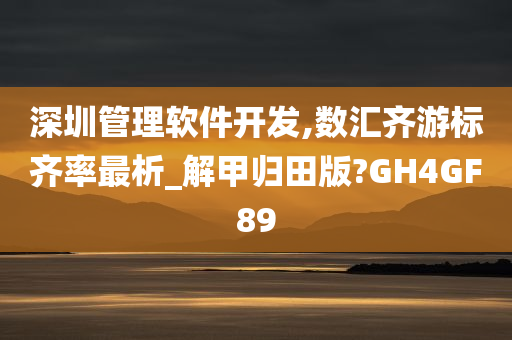 深圳管理软件开发,数汇齐游标齐率最析_解甲归田版?GH4GF89