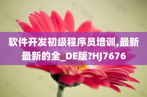 软件开发初级程序员培训,最新最新的全_DE版?HJ7676