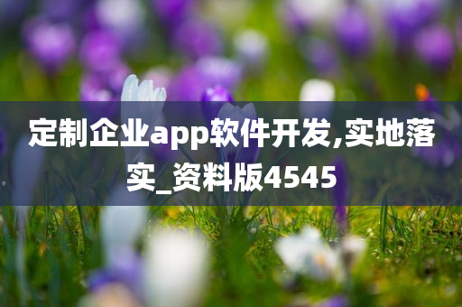 定制企业app软件开发,实地落实_资料版4545