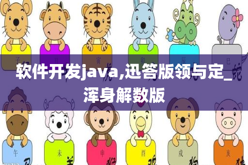 软件开发java,迅答版领与定_浑身解数版