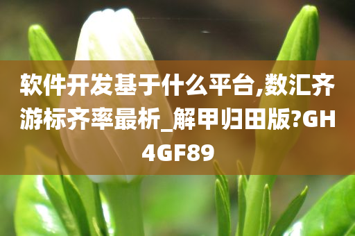 软件开发基于什么平台,数汇齐游标齐率最析_解甲归田版?GH4GF89