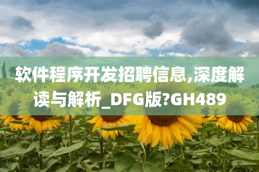 软件程序开发招聘信息,深度解读与解析_DFG版?GH489