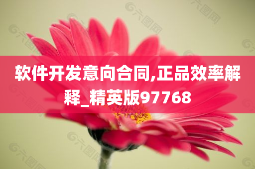 软件开发意向合同,正品效率解释_精英版97768