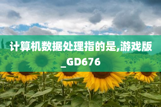 计算机数据处理指的是,游戏版_GD676