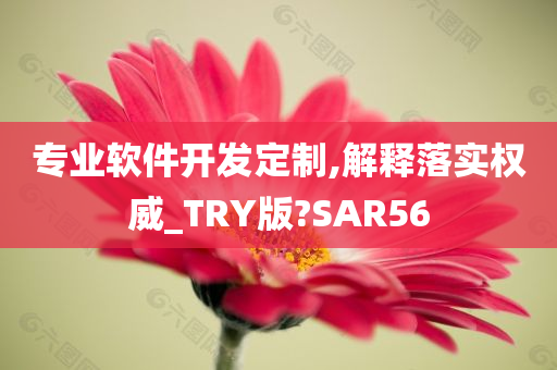 专业软件开发定制,解释落实权威_TRY版?SAR56