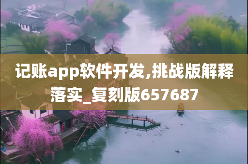 记账app软件开发,挑战版解释落实_复刻版657687