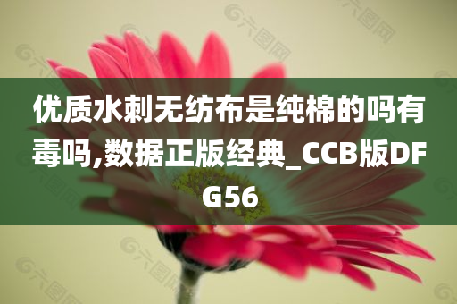 优质水刺无纺布是纯棉的吗有毒吗,数据正版经典_CCB版DFG56