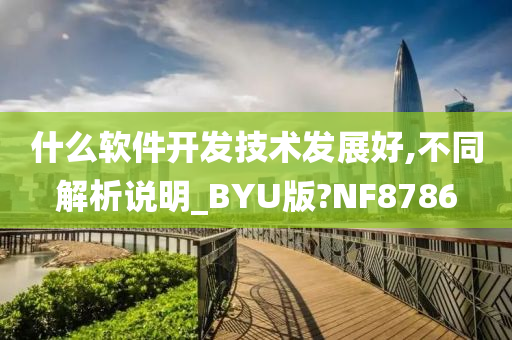 什么软件开发技术发展好,不同解析说明_BYU版?NF8786