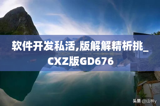 软件开发私活,版解解精析挑_CXZ版GD676