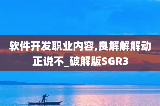 软件开发职业内容,良解解解动正说不_破解版SGR3