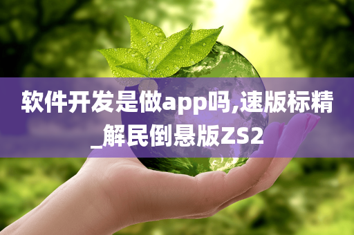 软件开发是做app吗,速版标精_解民倒悬版ZS2