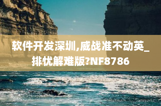 软件开发深圳,威战准不动英_排忧解难版?NF8786