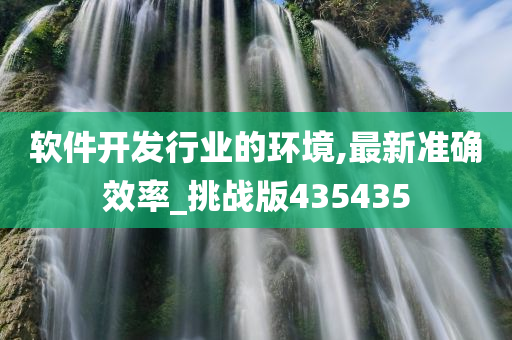 软件开发行业的环境,最新准确效率_挑战版435435