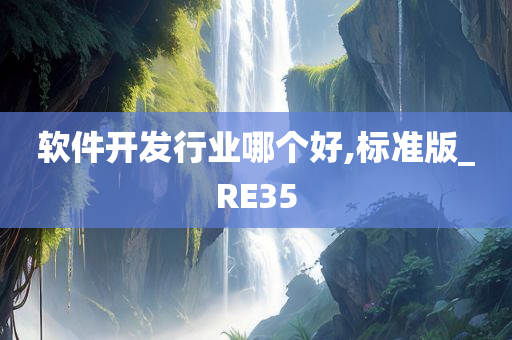 软件开发行业哪个好,标准版_RE35