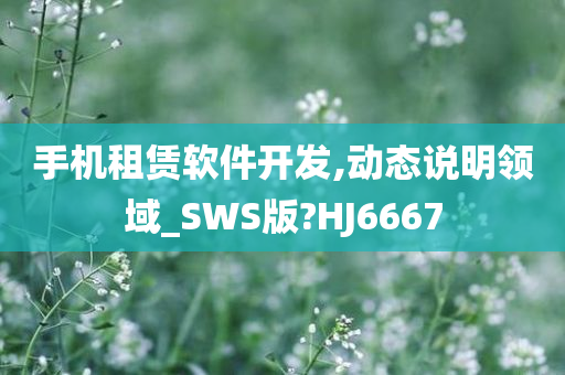 手机租赁软件开发,动态说明领域_SWS版?HJ6667