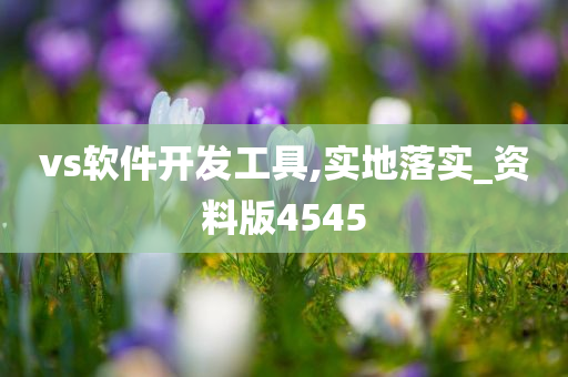 vs软件开发工具,实地落实_资料版4545