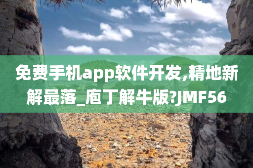 免费手机app软件开发,精地新解最落_庖丁解牛版?JMF56