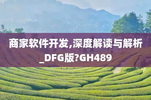 商家软件开发,深度解读与解析_DFG版?GH489