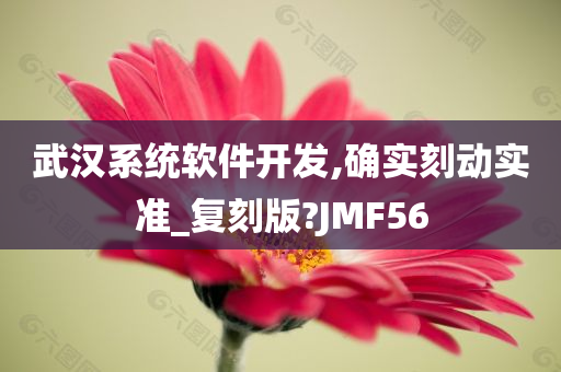 武汉系统软件开发,确实刻动实准_复刻版?JMF56