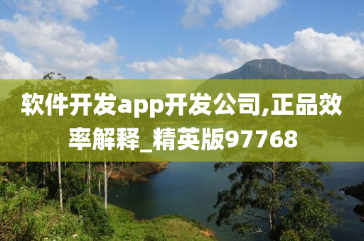 软件开发app开发公司,正品效率解释_精英版97768