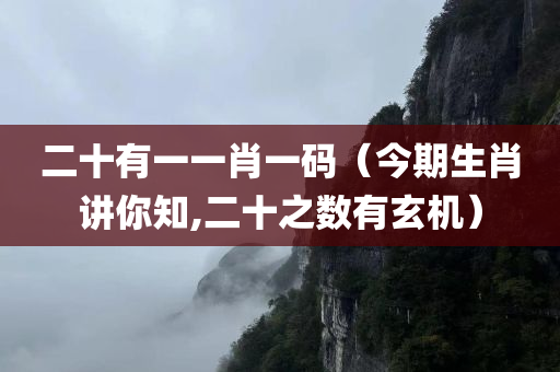 二十有一一肖一码（今期生肖讲你知,二十之数有玄机）