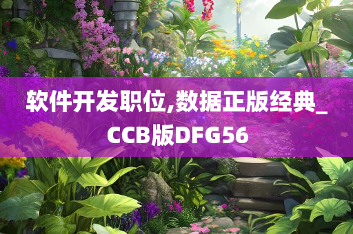 软件开发职位,数据正版经典_CCB版DFG56