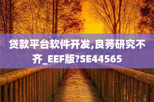 贷款平台软件开发,良莠研究不齐_EEF版?SE44565