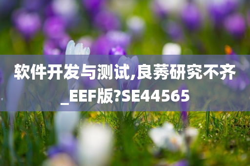 软件开发与测试,良莠研究不齐_EEF版?SE44565