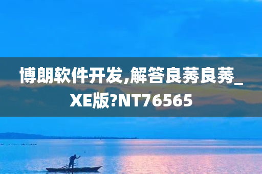 博朗软件开发,解答良莠良莠_XE版?NT76565