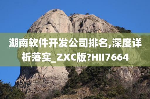 湖南软件开发公司排名,深度详析落实_ZXC版?HII7664