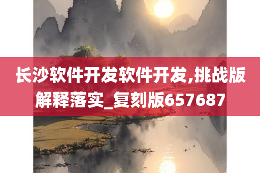 长沙软件开发软件开发,挑战版解释落实_复刻版657687