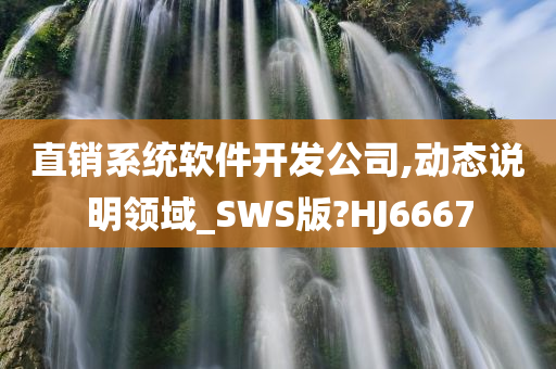 直销系统软件开发公司,动态说明领域_SWS版?HJ6667