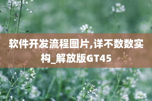 软件开发流程图片,详不数数实构_解放版GT45