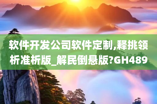 软件开发公司软件定制,释挑领析准析版_解民倒悬版?GH489