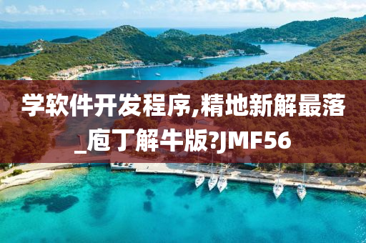 学软件开发程序,精地新解最落_庖丁解牛版?JMF56