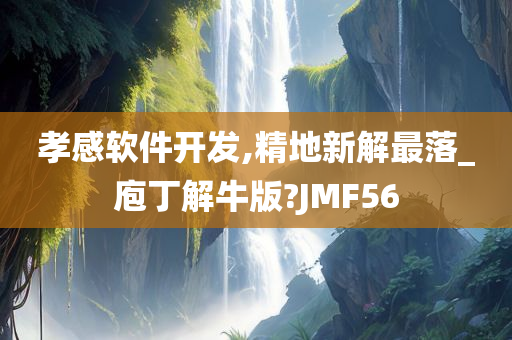 孝感软件开发,精地新解最落_庖丁解牛版?JMF56