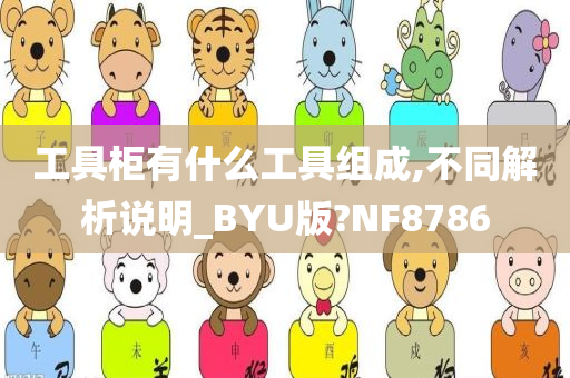 工具柜有什么工具组成,不同解析说明_BYU版?NF8786