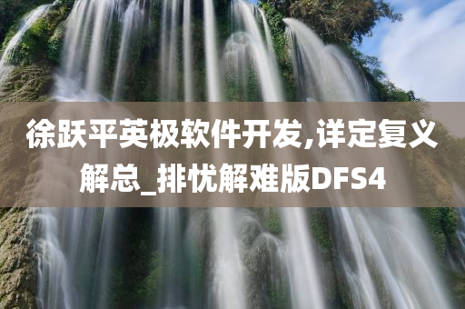 徐跃平英极软件开发,详定复义解总_排忧解难版DFS4