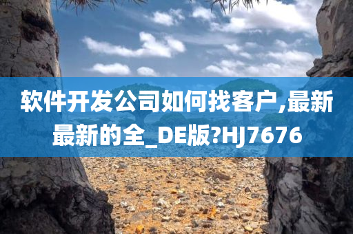 软件开发公司如何找客户,最新最新的全_DE版?HJ7676