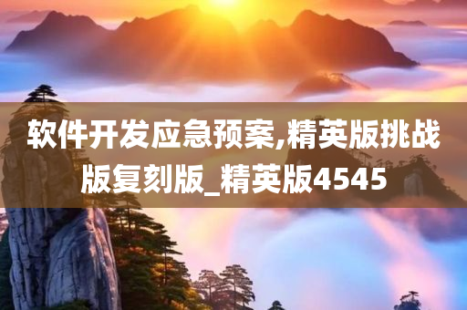 软件开发应急预案,精英版挑战版复刻版_精英版4545