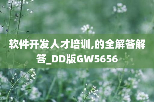 软件开发人才培训,的全解答解答_DD版GW5656