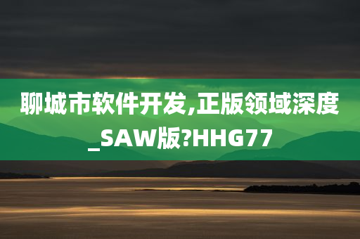 聊城市软件开发,正版领域深度_SAW版?HHG77