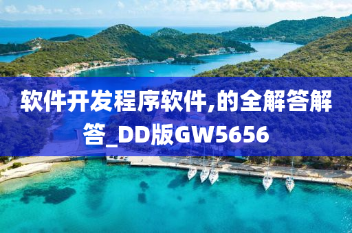 软件开发程序软件,的全解答解答_DD版GW5656