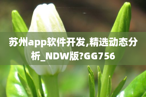 苏州app软件开发,精选动态分析_NDW版?GG756