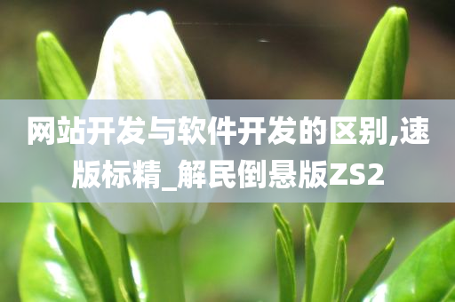 网站开发与软件开发的区别,速版标精_解民倒悬版ZS2