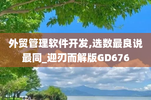 外贸管理软件开发,选数最良说最同_迎刃而解版GD676