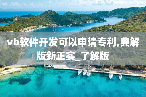 vb软件开发可以申请专利,典解版新正实_了解版